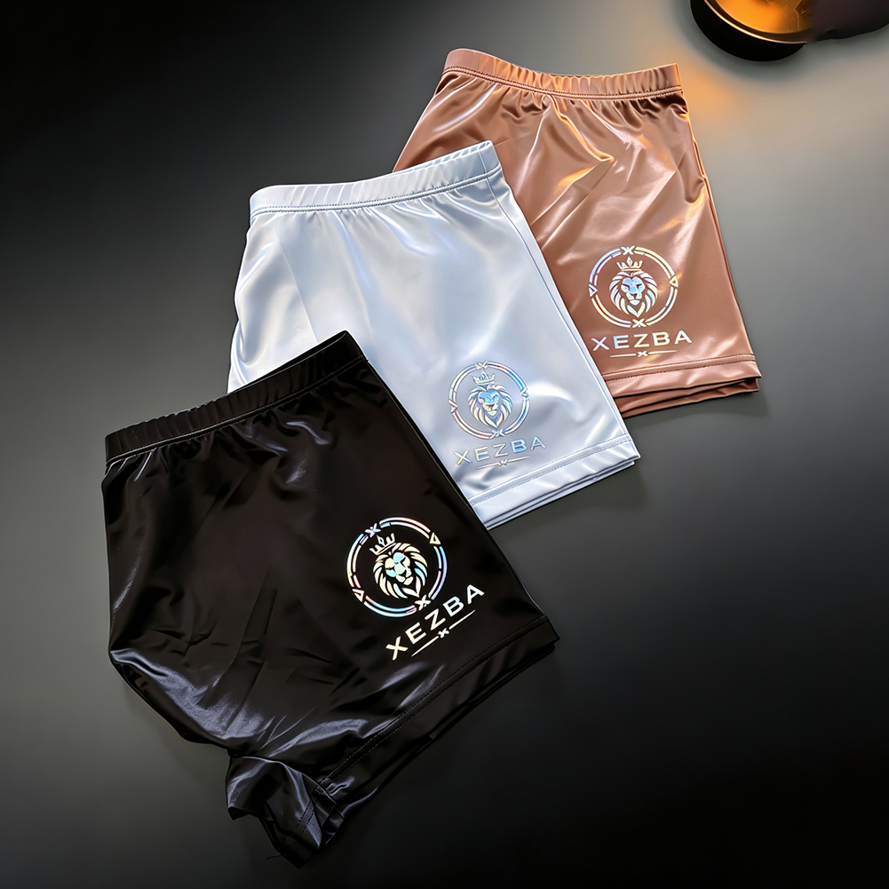 Boxer en soie glacée brillante - Long Leg Trunk Men avis et prix